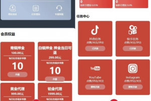 全新抖音点赞任务平台运营级源码 代理全自动任务会员制度自动接单