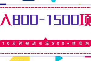 日入800-1500的最新项目教程_暴利项目10分钟被动引流500+精准粉