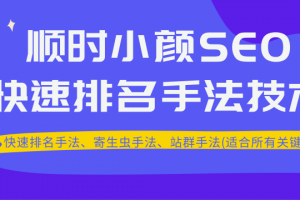 最新顺时小颜SEO教程_ 快速排名、寄生虫手法、站群手法(适合所有关键词)