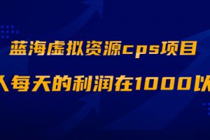 蓝海虚拟资源cps项目，目前最高单人每天的利润在1000以上【视频课程】