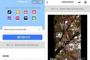 抖音去水印小程序源码 独立版 无后台